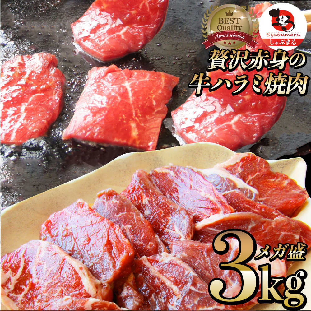 牛 ハラミ 焼肉 サガリ 3kg 250g×12P 牛肉 メガ盛り 当日発送対象 赤身 贅沢 おトク お徳用 送料無料 あす楽 肉 お取り寄せ  アウトドア お家焼肉 レジャー バーベキュー 食材 セット バーベキューセット キャンプ キャンプ飯 お得セット