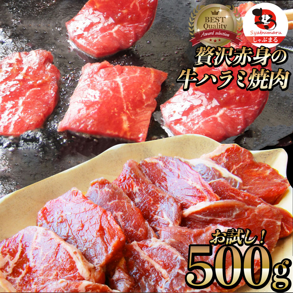 市場 牛 贅沢 500g お取り寄せ 当日発送対象 送料無料 通販 ハラミ 焼肉 アメリカ産 250g×2P 肉 お徳用 牛肉 おトク あす楽 サガリ  メガ盛り 赤身