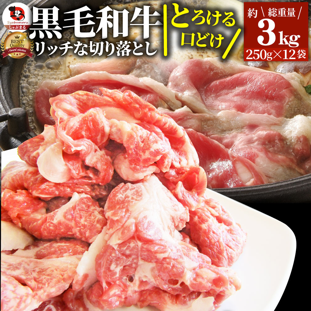 肉 お中元 クリスマス食品 お祝い 黒毛和牛 贅沢 霜降り 切り落とし たっぷり メガ盛り 3kg(250g×12) ギフト プレゼント ( 和牛 切り落とし 訳あり 国産 牛 牛肉 ) 送料無料|お肉のしゃぶまる