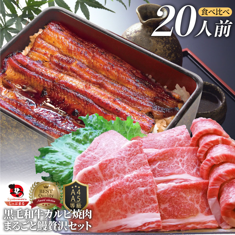 黒毛和牛 ＆ まるごと鰻 セット 20人前 肉 ギフト プレゼント 食品 お祝い 黒毛和牛 カルビ 焼肉 ( A4 ～ A5等級 ) 焼肉のタレ ギフト プレゼント 牛肉 送料無料 贅沢 うなぎ 黒毛 和牛 国産 祝い 記念 通販 グルメ 誕生日 牛 内祝 30,420円