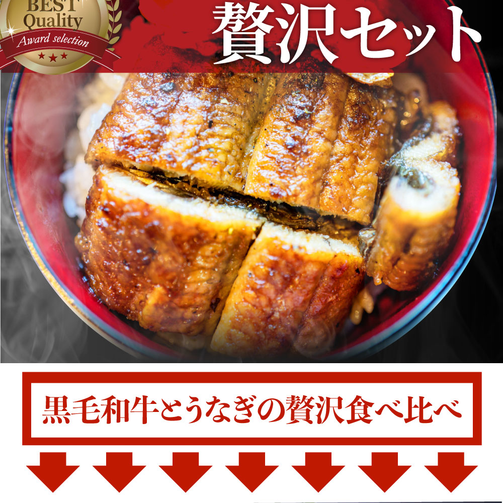 代引不可 黒毛和牛 まるごと鰻 セット 人前 肉 ギフト 母の日 黒毛和牛 カルビ 焼肉 A5等級 プレゼント 牛肉 贅沢 うなぎ 黒毛 和牛 国産 祝い お祝い返し 記念 通販 お取り寄せ グルメ 誕生日 牛
