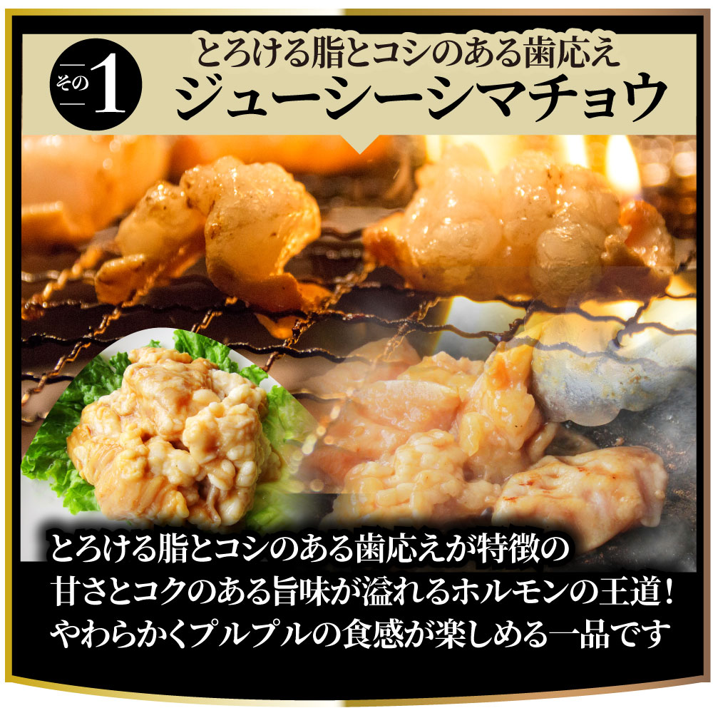 市場 三種 バーベキュー タレ漬け ホルモン ミックス 焼肉 500g 秘伝 250ｇ×2パック