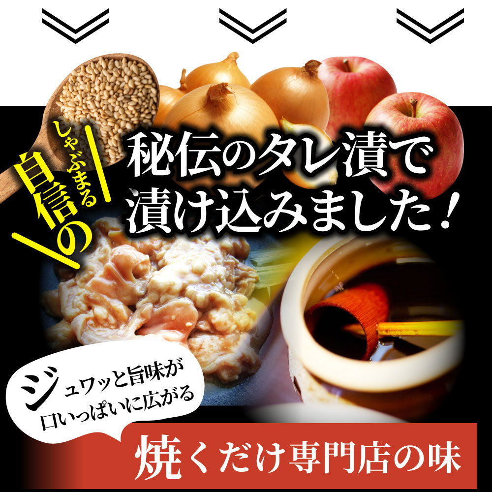 市場 三種 バーベキュー タレ漬け ホルモン ミックス 焼肉 500g 秘伝 250ｇ×2パック