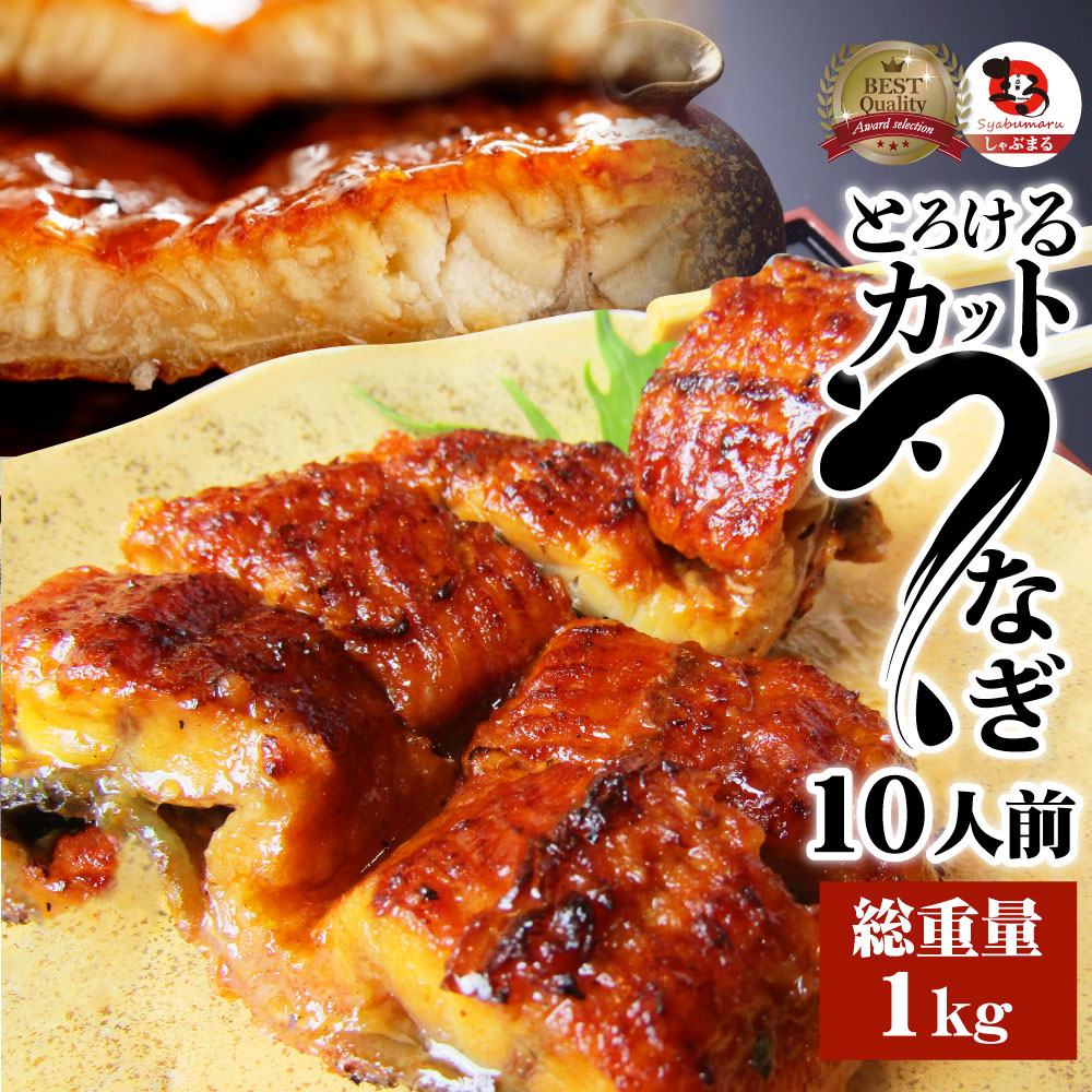 うなぎ カット おつまみ 蒲焼き ウナギ 鰻 10人前 100g 10枚 祝い お祝い返し 記念 通販 お取り寄せ グルメ 誕生日 牛 内祝 Tajikhome Com
