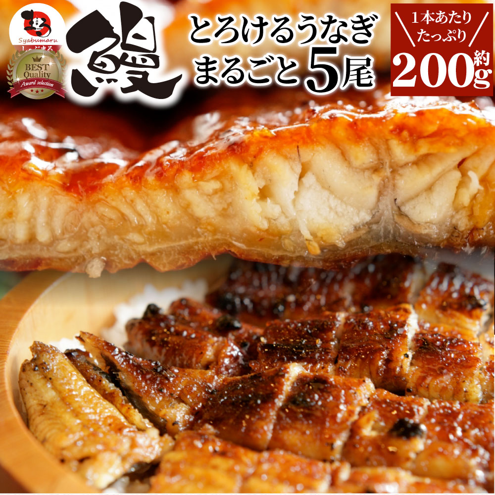 うなぎ 蒲焼 ウナギ 5本入り(約200ｇ×5)たれ・山椒付き 鰻 かば焼き 土用 丑の日 湯煎 レンチン レンジOK 簡単解凍するだけ 惣菜 冷凍食品 グルメ