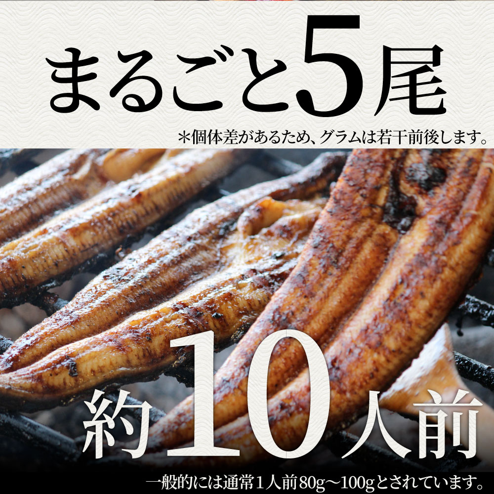 うなぎ 蒲焼 ウナギ 5本入り 約0 5 たれ 山椒付き 鰻 かば焼き 土用 丑の日 湯煎 レンチン レンジok 簡単解凍するだけ 惣菜 冷凍食品 お取り寄せ グルメ Brocamarketing Com