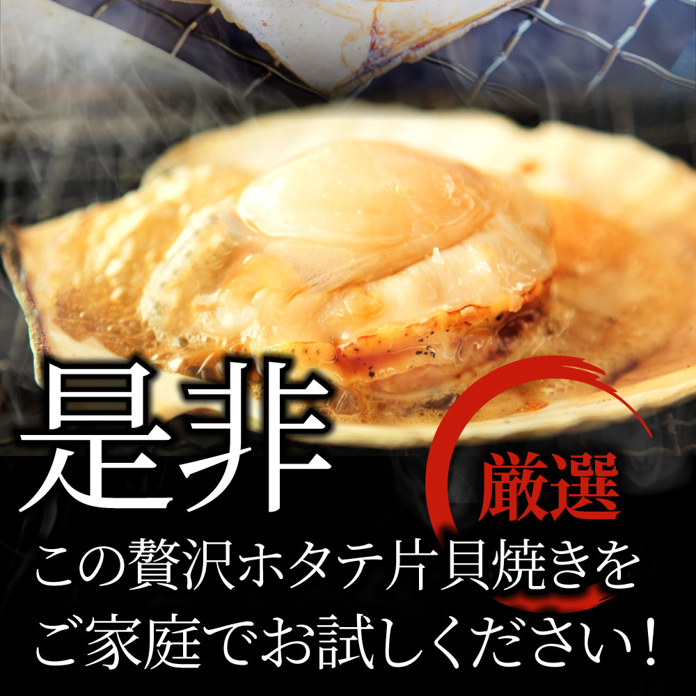 買物 ホタテ ほたて 帆立 30枚入り 10枚×3袋 北海道産 バター焼き ほたて貝 バーベキュー BBQ 片貝 焼くだけ 業務用 国産 海鮮  シーフード 食品 グルメ 殻付き 送料無料 qdtek.vn