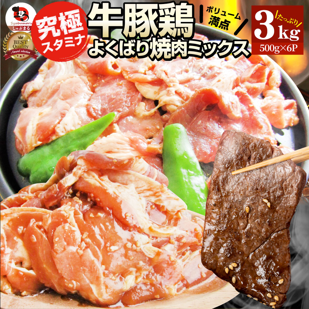 【クーポン使用で30%OFF】焼肉 ざんまい 牛豚鶏よくばり焼肉ミックス 3kg(500g×6) おトク お徳用 送料無料 肉 通販 グルメ アウトドア お家焼肉 レジャー 送料無料 バーベキュー 肉 食材 セット