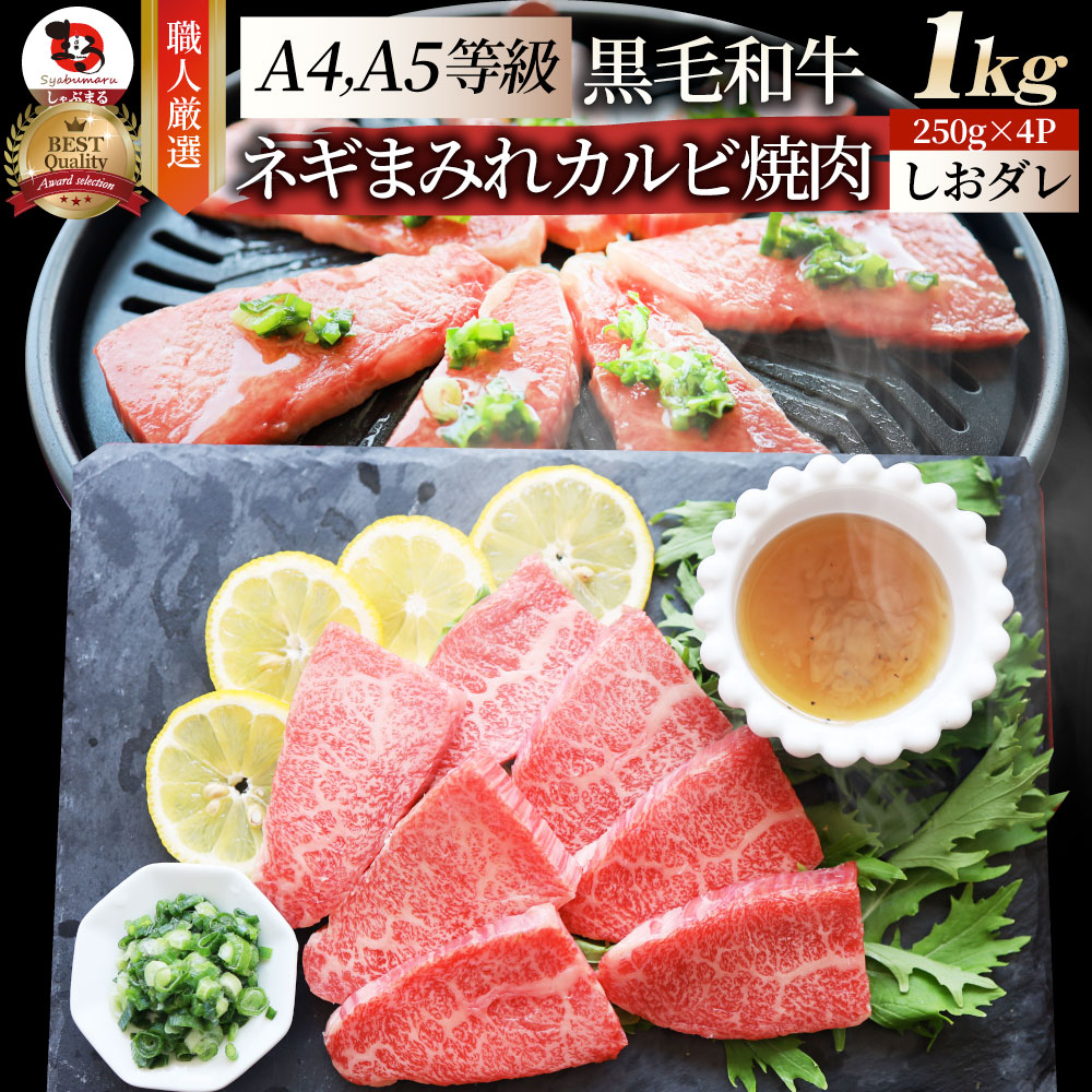 A4,A5等級 特選 黒毛和牛 カルビ焼肉 1kg ねぎまみれ 旨塩ダレ( A4 ～ A5等級 )牛肉 肉 お歳暮 クリスマス食品 お祝い 霜降り 贅沢 黒毛 和牛 国産 祝い 記念 通販 グルメ 誕生日 焼肉セット 焼肉 牛 内祝 8,395円