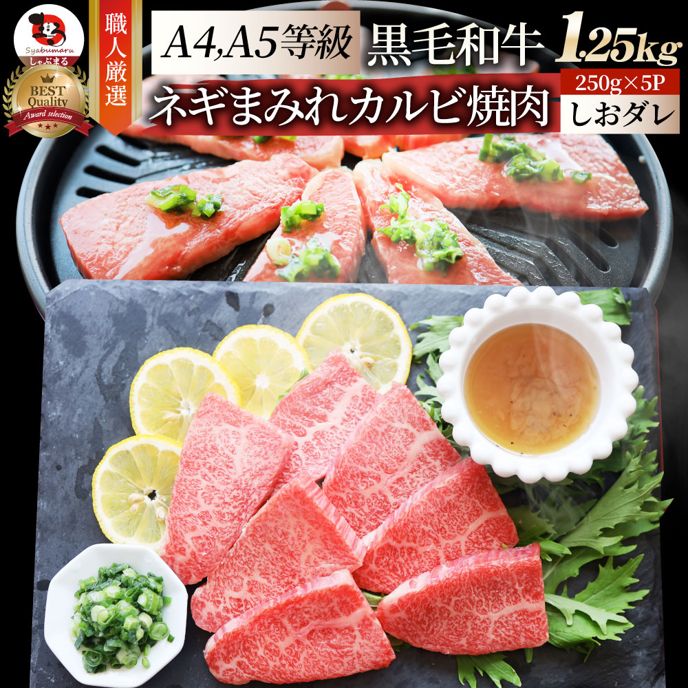 A4,A5等級 特選 黒毛和牛 カルビ焼肉 1.25kg ねぎまみれ 旨塩ダレ( A4 ～ A5等級 )牛肉 肉 お歳暮 クリスマス食品 お祝い 霜降り 贅沢 黒毛 和牛 国産 祝い 記念 通販 グルメ 誕生日 焼肉セット 焼肉 牛 内祝
