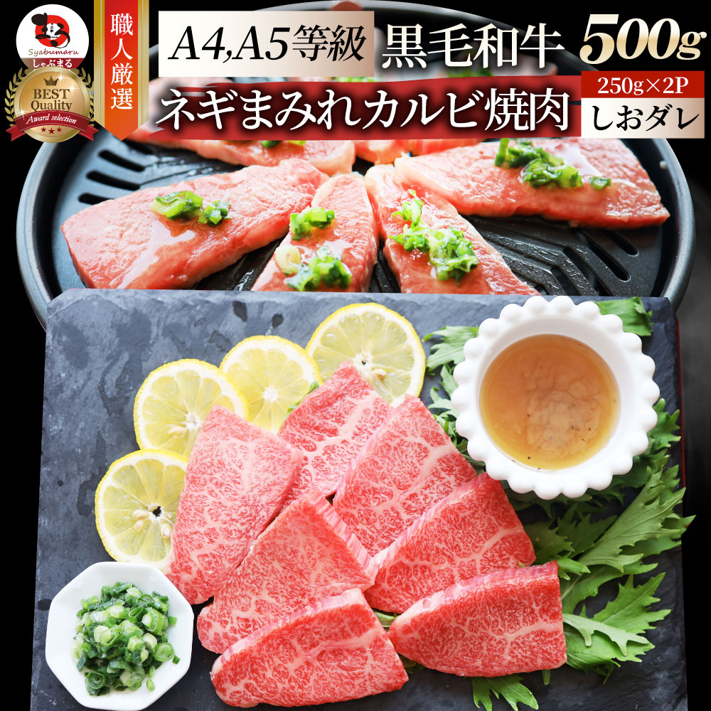 A4,A5等級 特選 黒毛和牛 カルビ焼肉 500g ねぎまみれ 旨塩ダレ( A4 ～ A5等級 )牛肉 肉 お歳暮 クリスマス食品 お祝い 霜降り 贅沢 黒毛 和牛 国産 祝い 記念 通販 グルメ 誕生日 焼肉セット 焼肉 牛 内祝