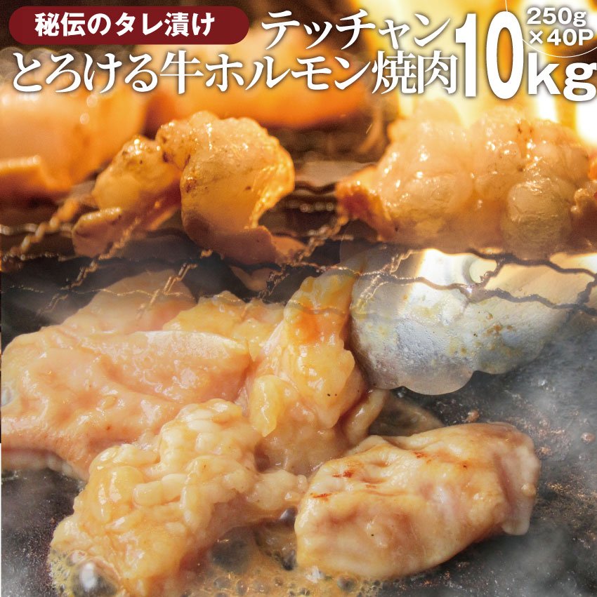 送料無料 冷凍 牛テッチャン タレ漬け ホルモン ( シマチョウ ) 10kg (250ｇ×40袋) 焼肉用 お得 タレ 秘伝 焼肉 やきにく アウトドア お家焼肉 肉 食材 セット 20,230円