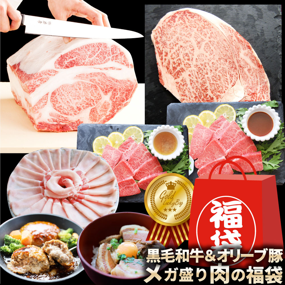 肉の福袋 ゴールド メガ盛り A4,A5等級 黒毛和牛入り 総重量1.48kg( 6種 食べ比べ )完全赤字の肉袋！人気のお肉ばかりの豪華セット 福袋 牛肉 焼肉セット 焼肉 1位 黒毛和牛 ステーキ カルビ ハンバーグ 送料無料