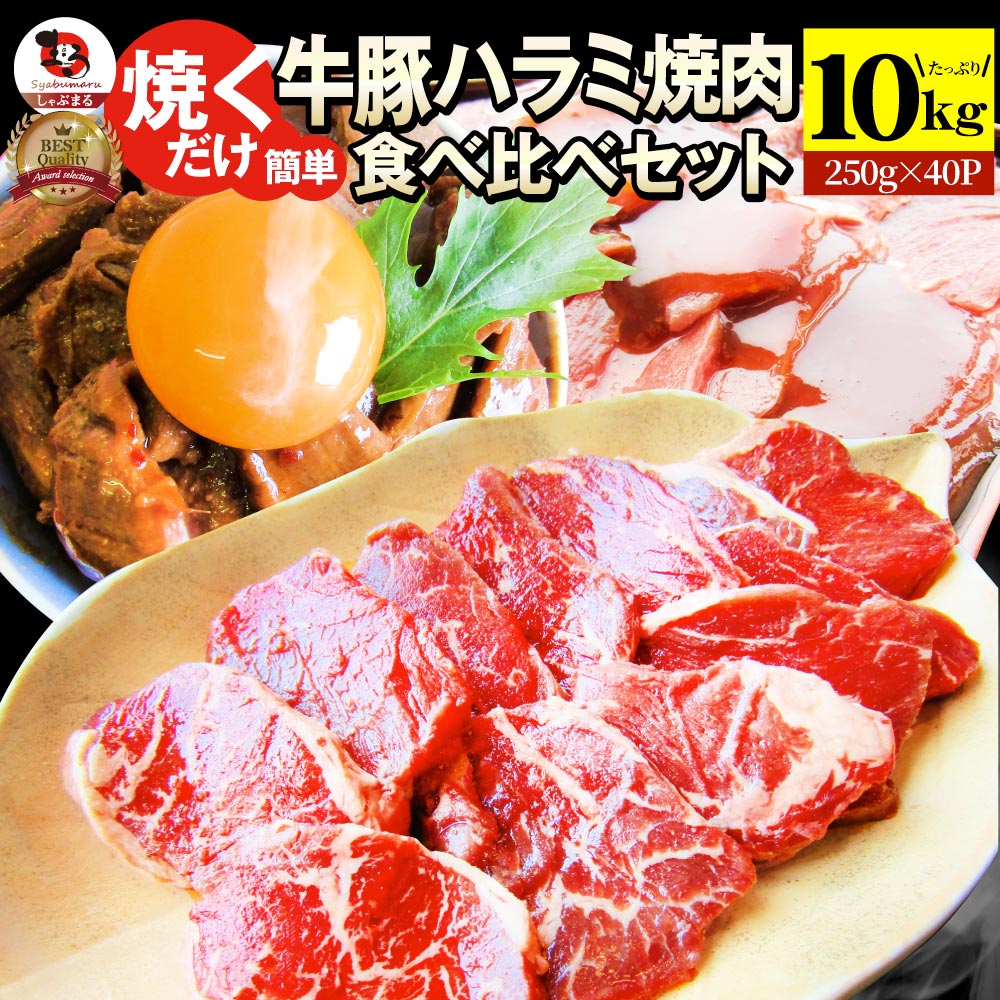 ハラミ 食べ比べ 牛肉 豚肉 焼肉 メガ盛り 10kg(250g×40) 赤身 はらみ バーベ キュー 美味しい バレンタイン 新生活 ギフト 食品 プレゼント 女性 男 性 お祝い あす楽