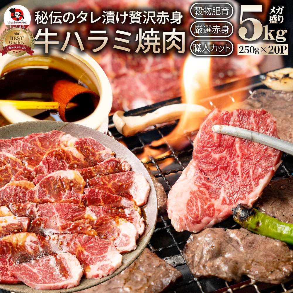 牛ハラミ焼肉(タレ漬け)5kg(250g×20) タレ 赤身 はらみ 秘伝 焼肉セット 焼肉 ランキング1位 やきにく ハラミ アウトドア お家焼肉 レジャー 送料無料 バーベキュー 肉 食材 セット キャンプ キャンプ飯|お肉のしゃぶまる