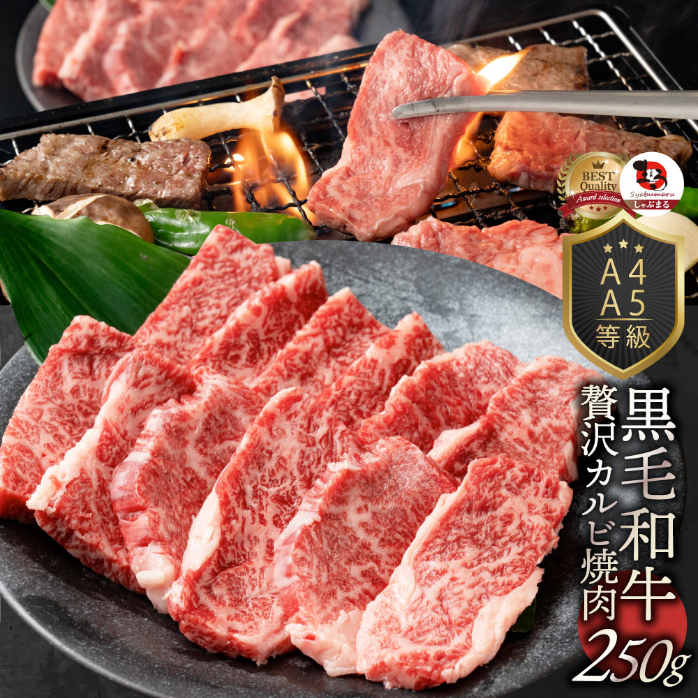 楽天市場】肉 敬老の日 ギフト 食品 お祝い A4,A5等級 特選 黒毛和牛 カルビ焼肉 250g 焼肉のタレ付 凍眠 テクニカン ( A4 〜  A5等級 )牛肉 送料無料 霜降り 贅沢 黒毛 和牛 国産 祝い 記念 通販 グルメ 誕生日 焼肉セット 焼肉 牛