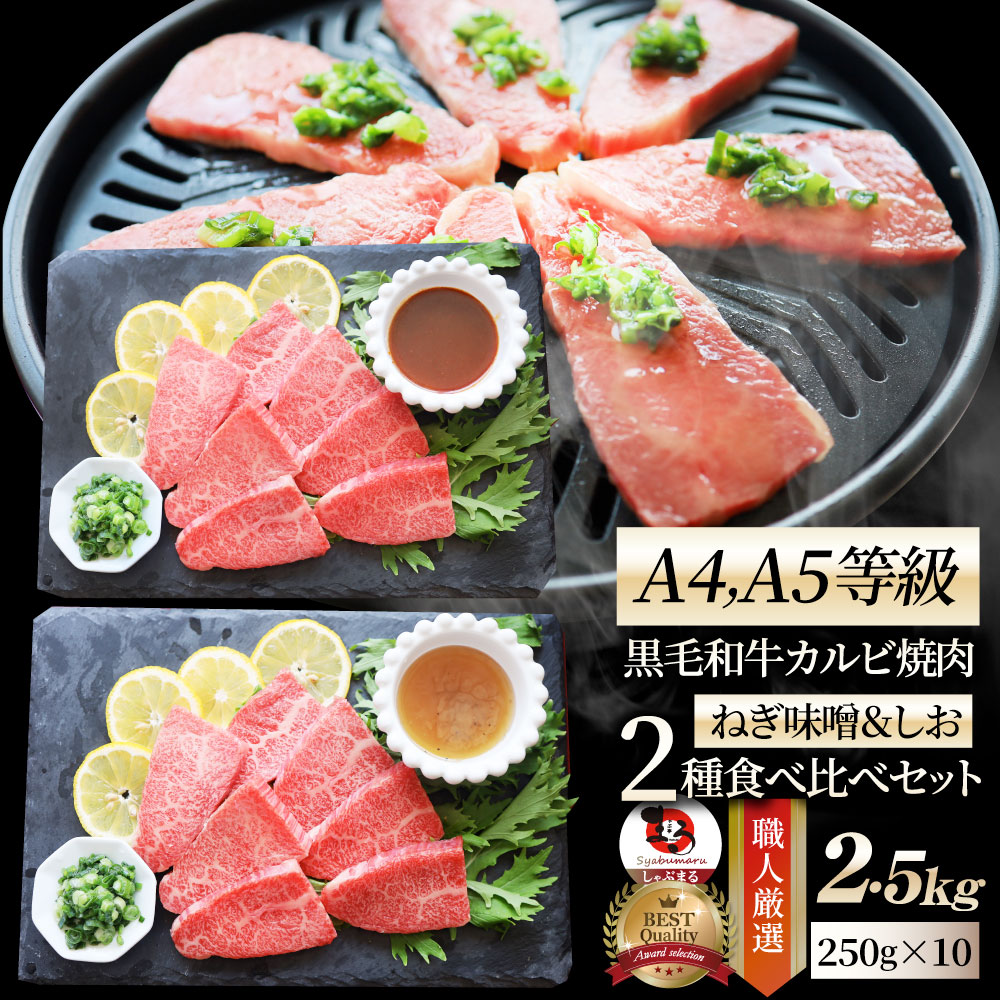 A4,A5等級 特選 黒毛和牛 カルビ焼肉 ねぎまみれ 味噌ダレ&塩ダレ 食べ比べ 2.5kg(250g×各5) 牛肉 肉 お歳暮 クリスマス食品 お祝い 霜降り 贅沢 黒毛 和牛 国産 祝い 記念 通販 グルメ 誕生日 焼肉セット 焼肉 牛 内祝