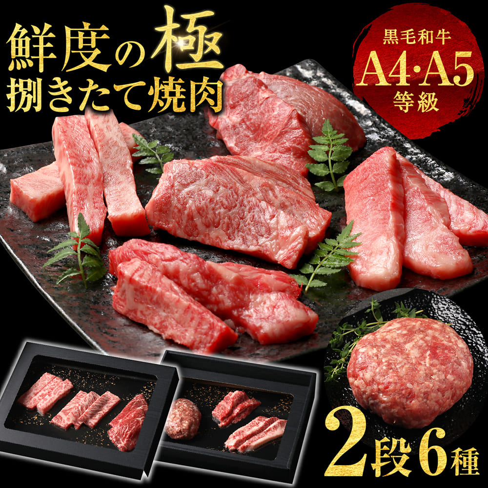 ギフト ギフト プレゼント 6種2段 豪華絢爛(けんらん) 焼肉ギフト 霜降り 牛肉 黒毛和牛贅沢 国産 黒毛 和牛 祝い グルメ 誕生日 焼肉 セット 牛 内祝 真空密封包装