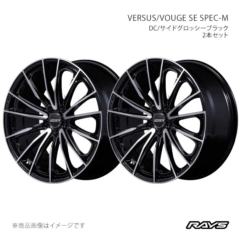 【19インチ 5H120 8J +45】アルミホイール2本セット ベルサス ヴォウジェSE スペックM BAZ RAYS/レイズ 品番:12389804521BAZ×2