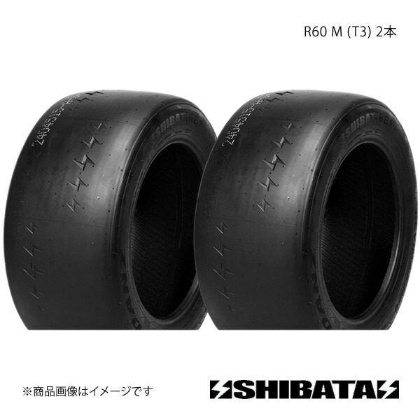 SHIBATIRE シバタイヤ R60 240/45R15 M (T3) タイヤ単品 2本セット R1666×2