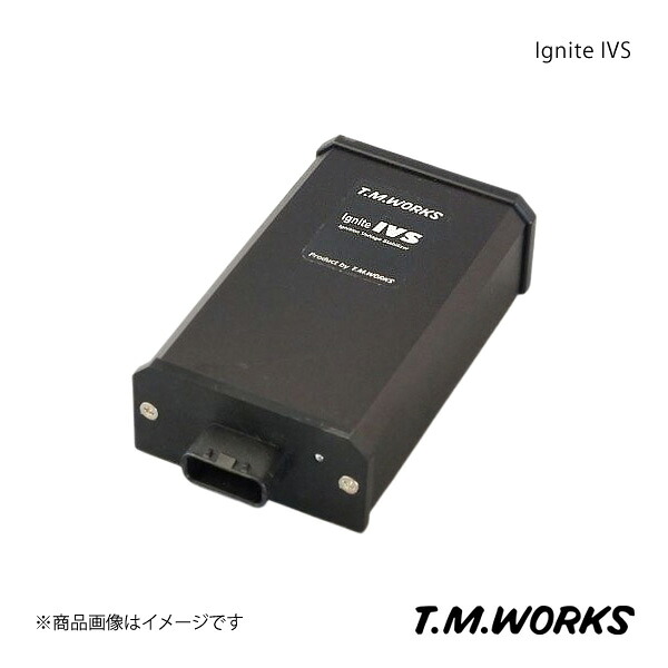 T.M.WORKS ティーエムワークス Ignite IVS 単品 品番:IVS001