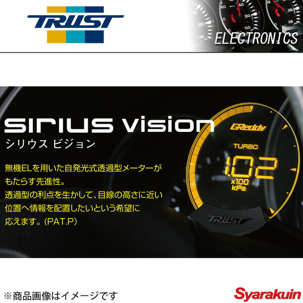 TRUST トラスト シリウス ヴィジョン OBDセット GS200t GS300 ARL10