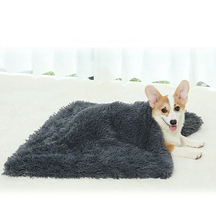 犬用 ペット用 毛布 クッション 布団 ベッド ペットベッド 掛布団 ブランケット