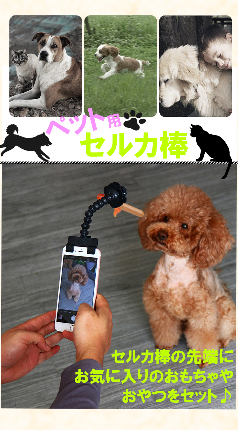楽天市場 ペット用 セルカ棒 自撮り棒 カメラ目線 動物 撮影 アニマル セルフィー セルフィースティック 犬 猫 写真 スマホ ペットの写真 いぬ ねこ 室内 屋外 Iphone Android Syd Shop