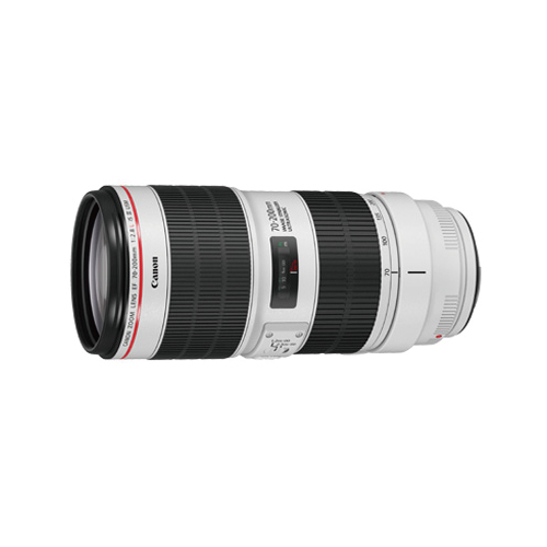 売り切れ必至 Ef70 0lis3 キャノン Ef70 0mm F2 8l Is Iii Usm 交換レンズ Canon 好評 Novinarska Skola Org Rs