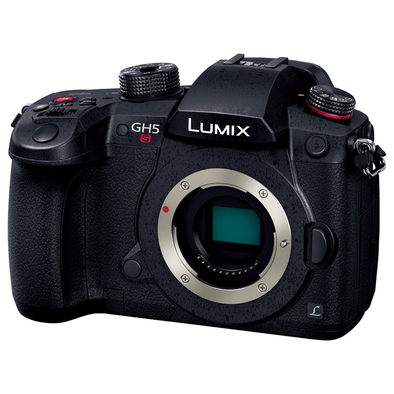LUMIX DC-GH5S 上半身 ◆ パナソニック デジタル一眼二眼レフ写真機 Panasonic