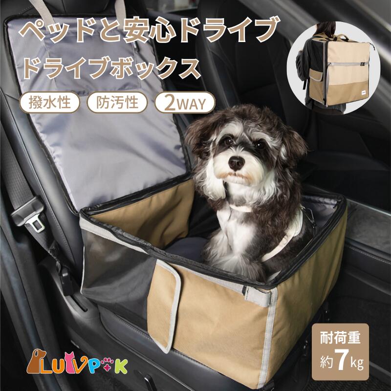 愛玩動物の手あそびに悩んだらこれ！「手あそび特集」