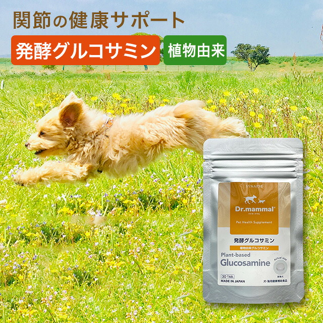 【販売元直販】 犬 関節 サプリ グルコサミン 発酵グルコサミン 30粒 国産 犬用サプリ シニア犬 老犬 高齢犬 足腰 健康維持 植物由来グルコサミン Dr.ママル ペット用サプリ 犬 小動物 シナプス 送料無料 4,674円
