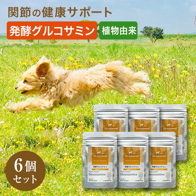 犬 犬用 サプリ 犬 関節サポート グルコサミン 【発酵グルコサミン】30粒入×6袋 国産 Drママル サプリメント 犬 老犬 高齢犬 シニア犬 ペット 植物由来 グルコサミン とうもろこし 足 腰 健康 ルンワン シナプス 【販売元直販】 送料無料