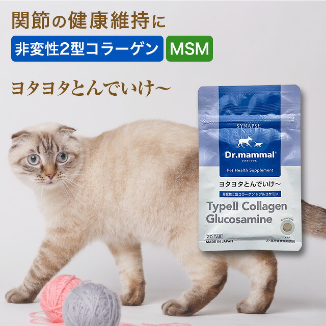 【ポイント5倍 4/17(金）9：59まで】 猫 猫用 サプリ 猫 関節サポート 【ヨタヨタとんでいけ～】 20粒入 国産 Drママル サプリメント 猫 老猫 高齢猫 シニア猫 ねこ 犬 ペット MSM 非変性2型コラーゲン グルコサミン 健康 ペットサプリ シナプス 【販売元直販】 送料無料