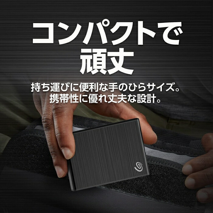 SeagateOneTouchv2SSDBlackExternalDriveUSB3.0500GB外付SSD日本正規代理店品STKG500400
