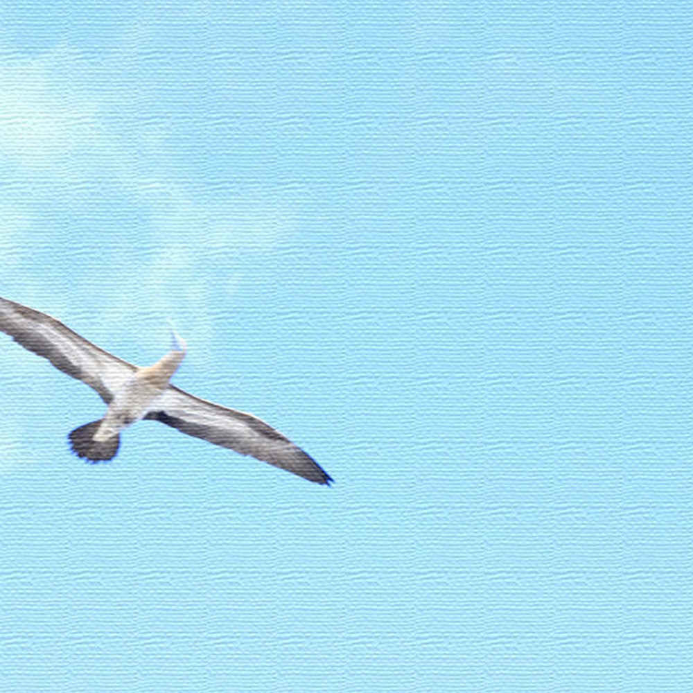うみカメラマン「むらいさち」のファブリックパネル/青空 Lサイズ（57cm×57cm） ウォールアート 壁掛け おしゃれ 北欧 モダン 新築祝い 開店祝い 結婚祝い お洒落 玄関 寝室 リビング 応接室 ポスター インテリア 内装 イメージチェンジ 模様替え リメイク 壁穴 目隠し
