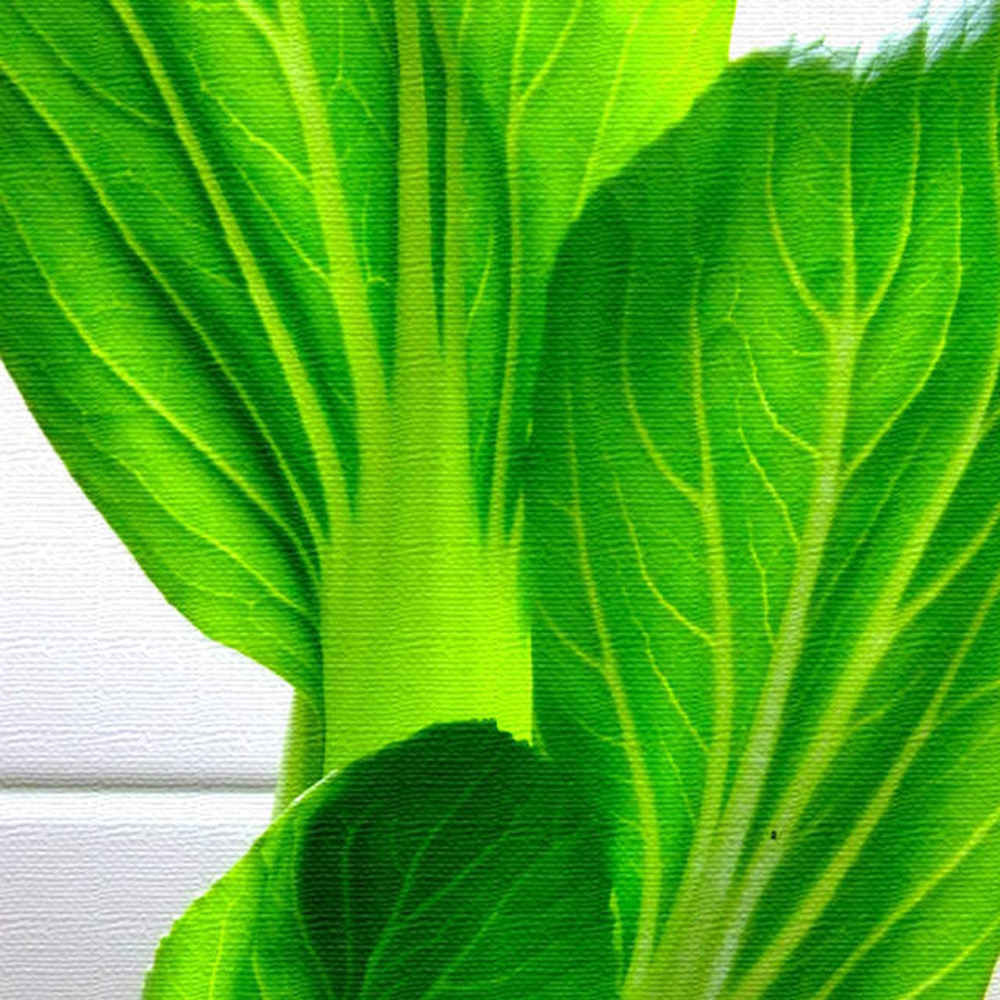 野菜モチーフのインテリアパネル(pho-0002) Lサイズ（57cm×57cm） ウォールアート 壁掛け おしゃれ 北欧 モダン 新築祝い 開店祝い 結婚祝い お洒落 玄関 寝室 リビング 応接室 ポスター インテリア 内装 イメージチェンジ 模様替え リメイク 壁穴 目隠し