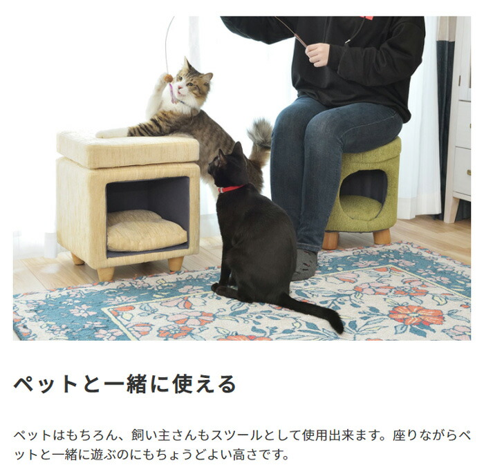 ファブリック素材 ラウンド型 収納スツール 2way仕様 室内 猫用品 キャットハウス スツール スツール スツール 猫 ペットハウス ペット ミニテーブル 完成品 小屋 室内 ペット用品 送料無料 ペットハウス スツール ファブリック素材 ラウンド型 2way仕様 ペット ベージュ ファブリック素材 ラウンド型 収納スツール 2way仕様 室内 猫用品 キャットハウス スツール スツール スツール 猫 ペットハウス ペット ミニテーブル 完成品 小屋 室内 ペット用品 送料無料 ペットハウス スツール ファブリック素材 ラウンド型 2way仕様 ペット ベージュ