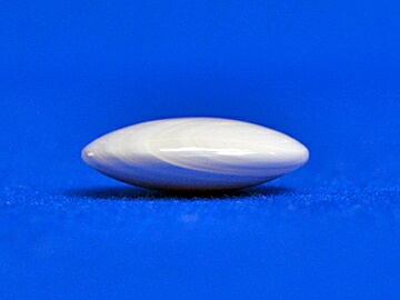 碁石日向特製蛤碁石25号実用(厚み7.0mm)※木製栗碁笥付き