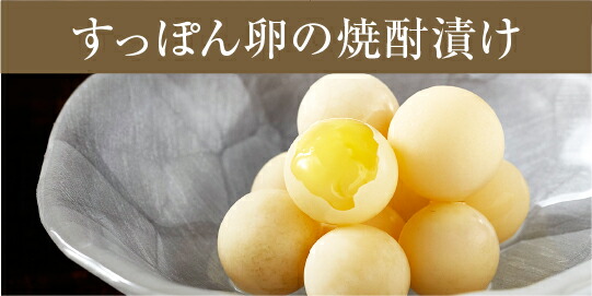 楽天市場】【公式】すっぽんの恵みプレミアム 定期コース 1袋62粒入り