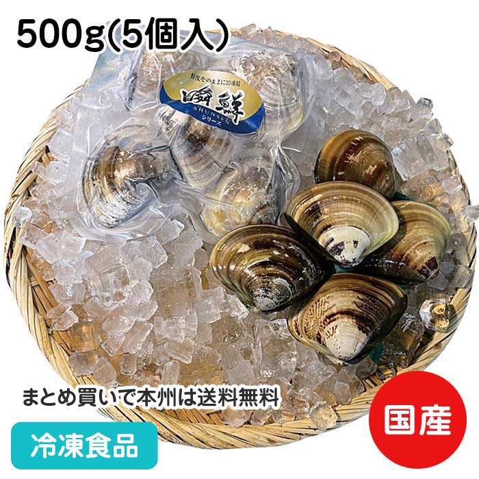 ハマグリページ 楽天市場】殻付ハマグリ 500g(16-20粒入) 21766(冷凍食品 業務用