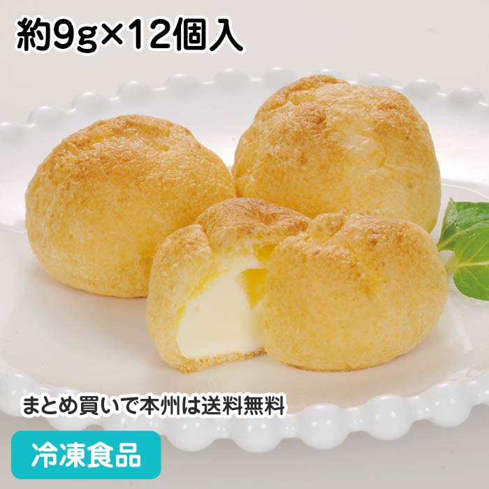 楽天市場】シューアイス バニラ 約40ml×15個入 12593(冷凍食品 業務用