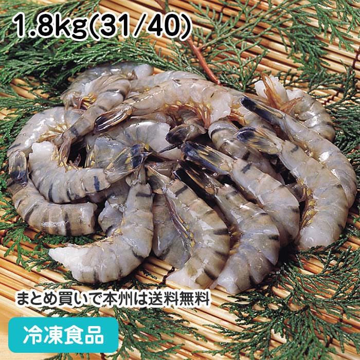 海老31 31xZXHGhllL._UY250_SCLZZZZZZZ_.jpg