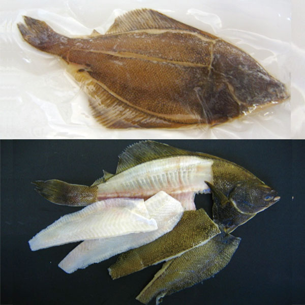 楽天市場 黄金カレイ5枚おろし 約100 150g 12尾入 業務用 鰈 かれい 魚 和食 揚物 下ごしらえ 業務用食材 食彩ネットショップ