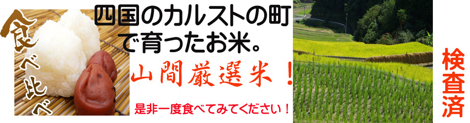 お得！玄米でも発送可能！令和5年度新米あきたこまち精米24kg+spbgp44.ru