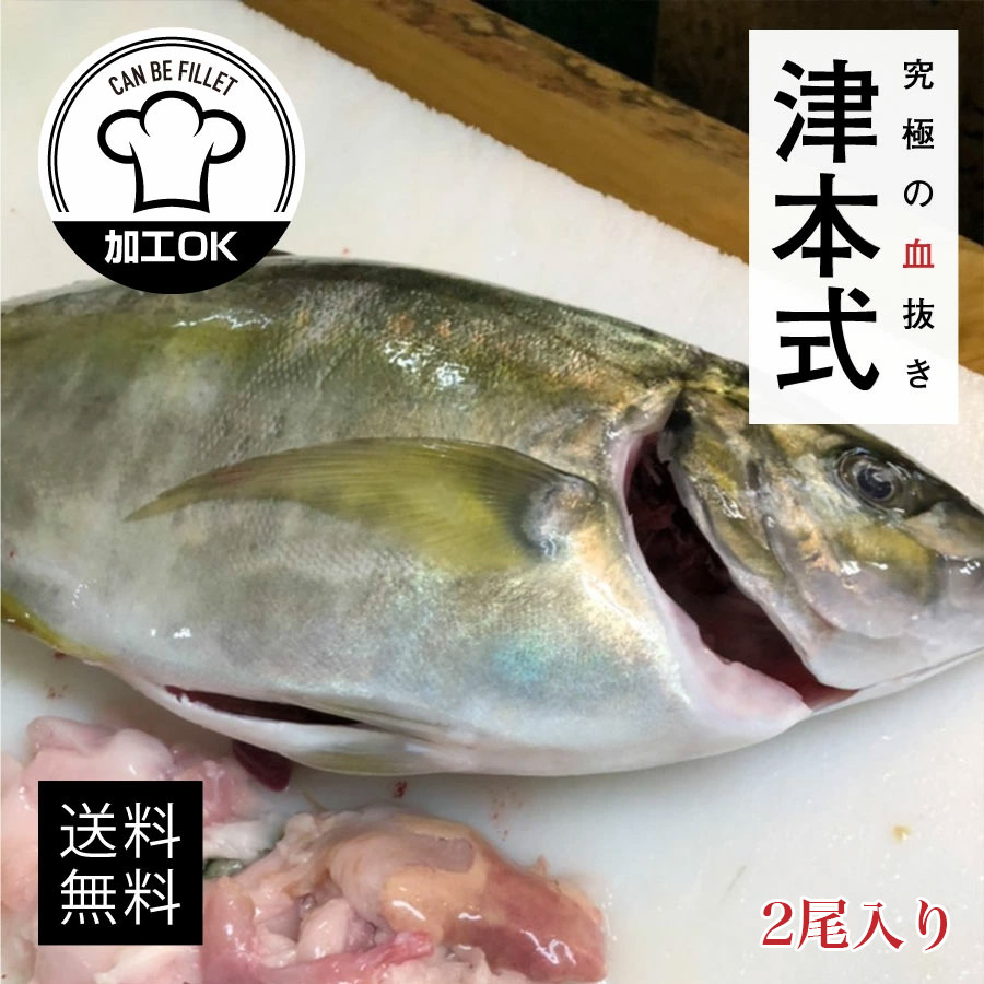 楽天市場 津本式 仕立て師 徳増邦彦 伸東ヒラメ重量約0 8kg 養殖 送料無料 津本式 血抜き 鮮魚 メディア 鮮魚革命 著書 究極の血抜き 津本式 で紹介 刺身 Youtube 人気 魚仕立屋 津本式 楽天市場店