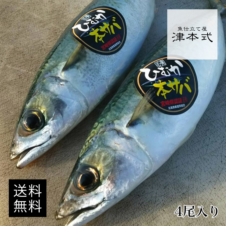 【4/17～4/21発送予定】津本式 津本光弘 本人仕立て 究極の血抜き日向本鯖（ヒムカホンサバ） 重量 約400g～ 4本入り 養殖 送料無料 「 著書 究極の血抜き 津本式 」