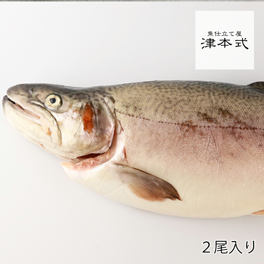 津本光弘本人仕立て究極の血抜き いわなが鱒重量約1 5 2 0