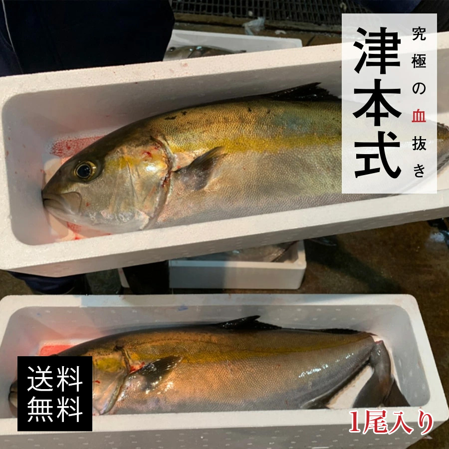 津本式 津本光弘 本人仕立て 究極の血抜き 葡萄カンパチ重量 約3 5 4kg 養殖 送料無料 宮崎県から発送 津本式 血抜き 鮮魚 メディア 鮮魚革命 著書 究極の血抜き 津本式 で紹介 刺身 Youtube 人気 究極の仕立て 津本式 楽天市場店 処理方法脳天締め 非金融部門の企業は