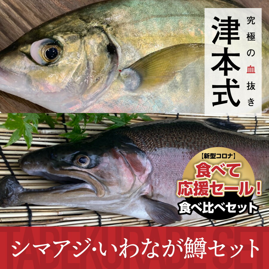 安い 津本式 津本光弘 本人仕立て 究極の血抜き いわなが鱒とシマアジの2尾入り食べ比べセット重量 2尾合計約2 5 3 2kg 養殖 宮崎県から発送 Br Br 津本式 血抜き 鮮魚 メディア 鮮魚革命 著書 究極の血抜き 津本式 で紹介 刺身 Youtube 人気 楽天 Radiosimba Co Ke